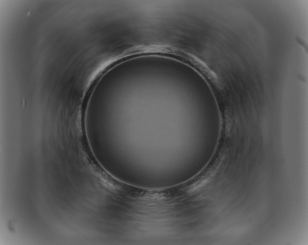 X0000092111174200709121613