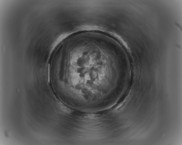 X0000092111175200709121612