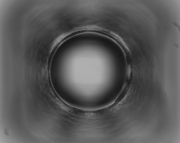 X0000092111176200709121612