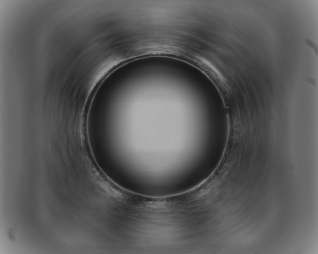 X0000092111182200709121612