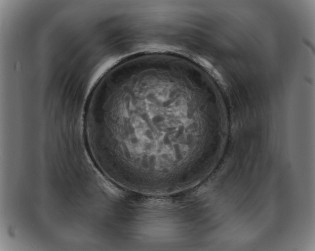 X0000092111183200709121612