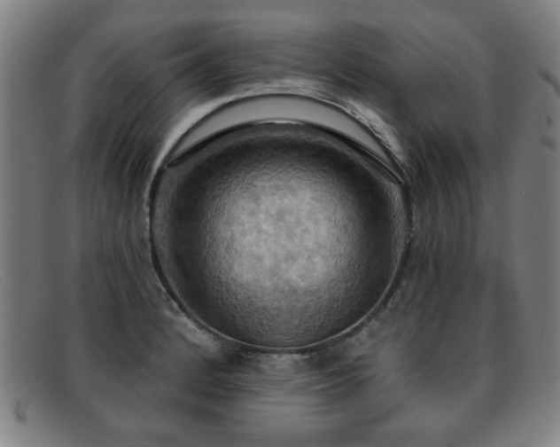 X0000092111184200709121612