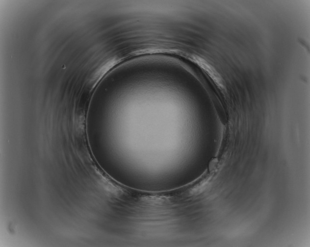 X0000092111185200709121612