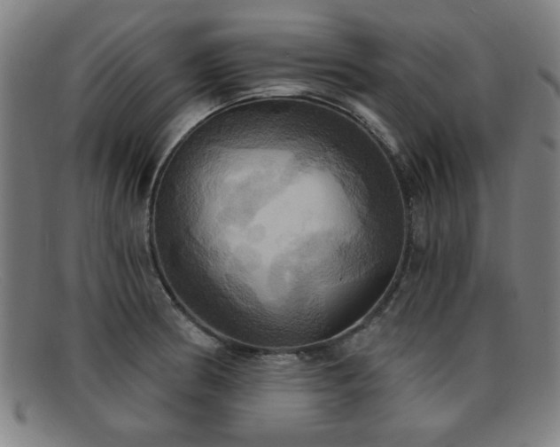 X0000092111186200709121612