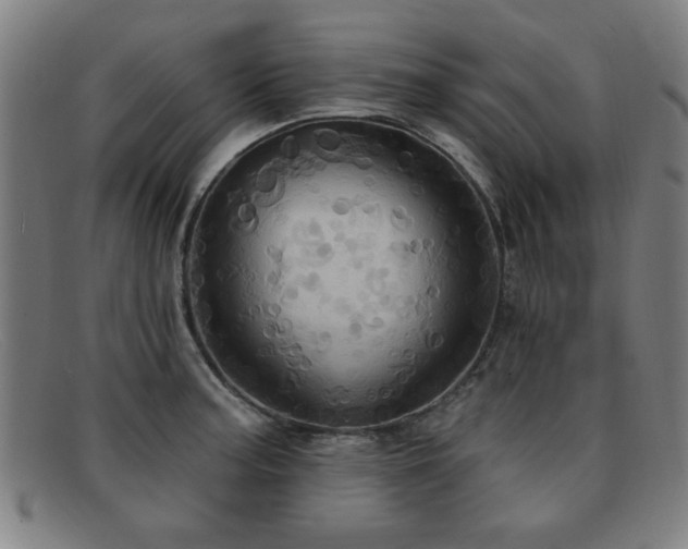 X0000092111187200709121612