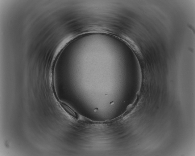 X0000092111188200709121612