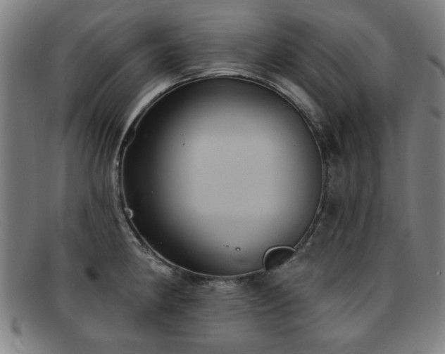 X0000092111190200709121612