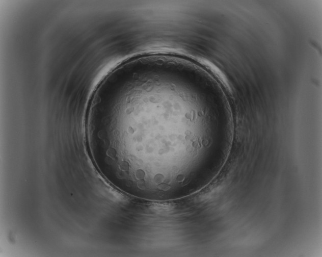 X0000092111191200709121612