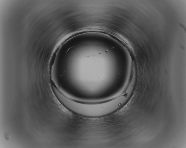 X0000092111192200709121612