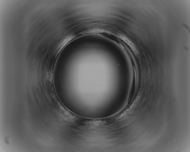 X0000092111193200709121612