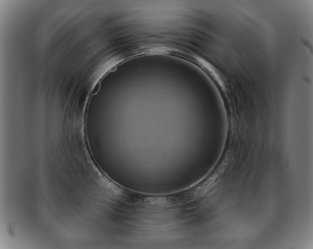 X0000092111194200709121612