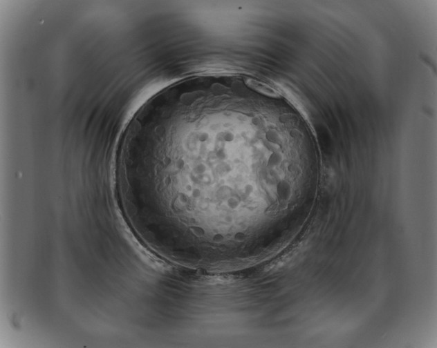 X0000092111195200709121612