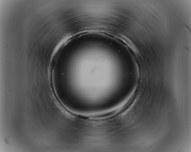 X0000092111196200709121612