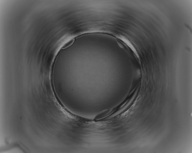 X0000092111197200709121612