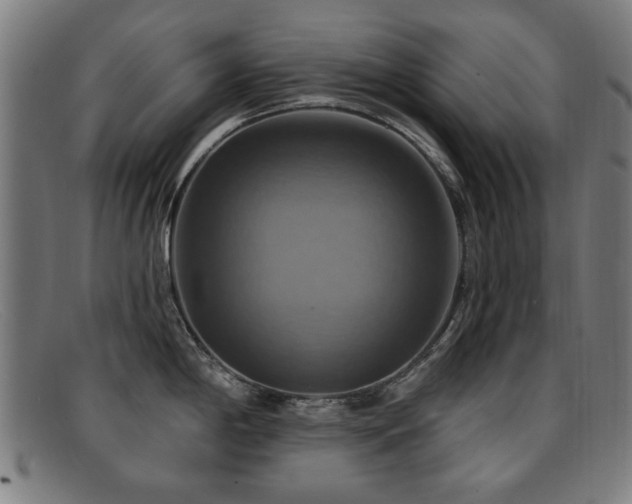 X0000092111198200709121612