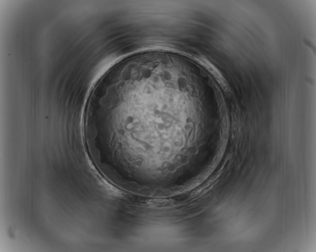 X0000092111199200709121612