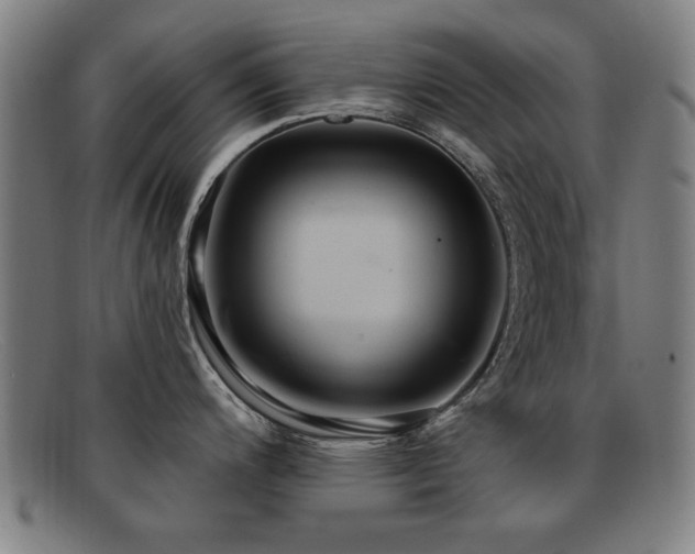 X0000092111200200709121612