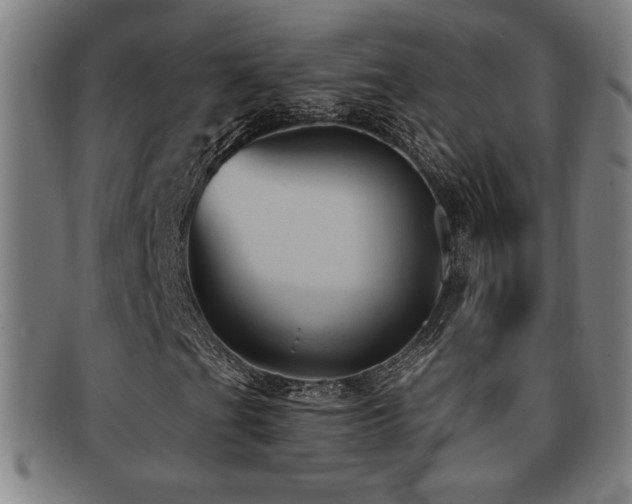 X0000092111201200709121612