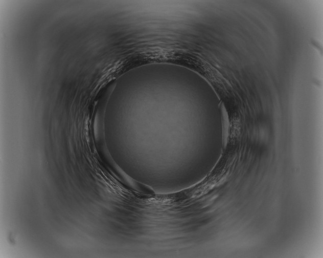 X0000092111202200709121612