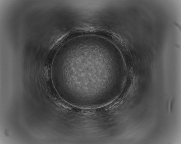 X0000092111205200709121612