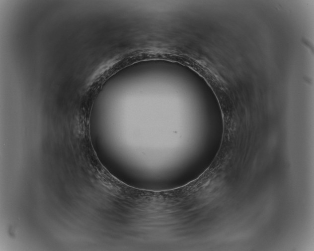 X0000092111207200709121612