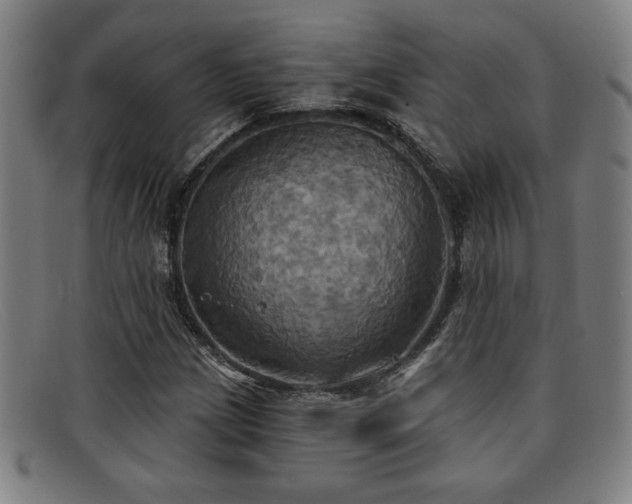 X0000092111209200709121612