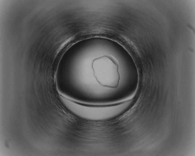 X0000092111210200709121612