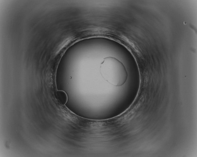 X0000092111211200709121612