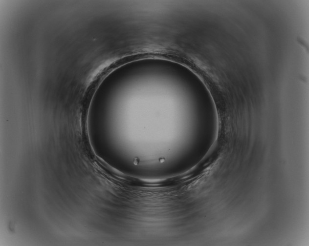 X0000092111214200709121612