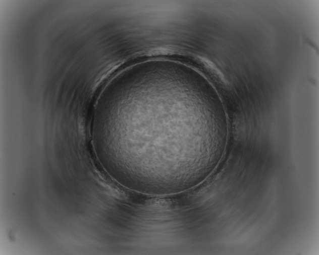 X0000092111217200709121612