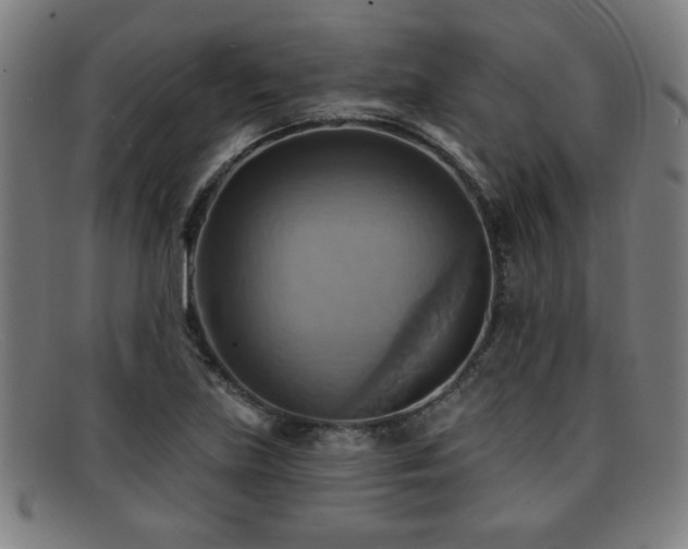 X0000092111219200709121612