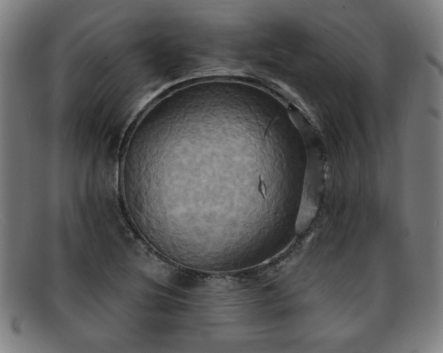 X0000092111220200709121612