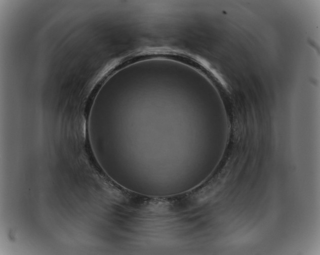 X0000092111221200709121612