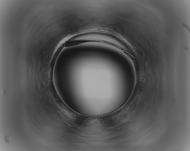 X0000092111222200709121612