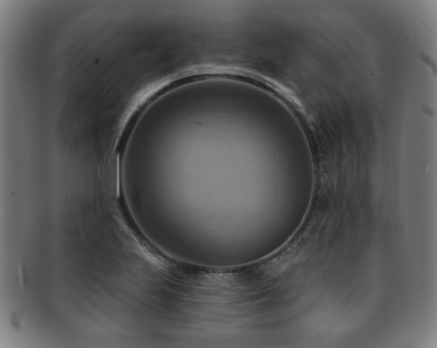 X0000092111223200709121612