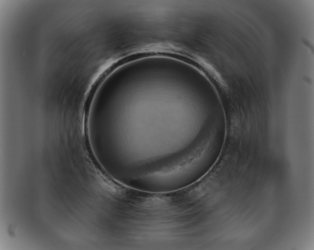 X0000092111224200709121612