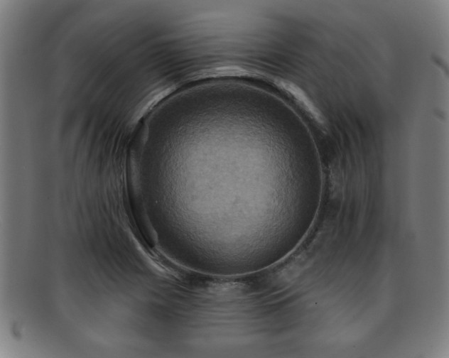 X0000092111225200709121612