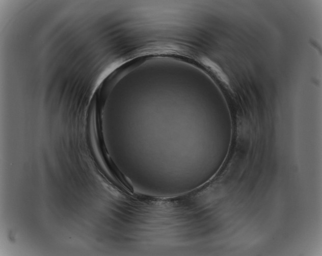 X0000092111226200709121612