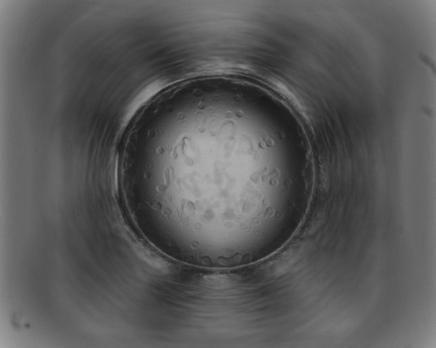 X0000092111227200709121612