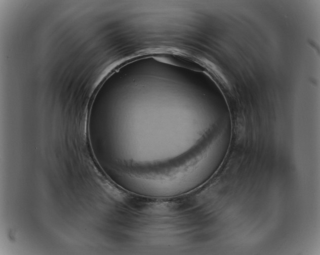 X0000092111228200709121612