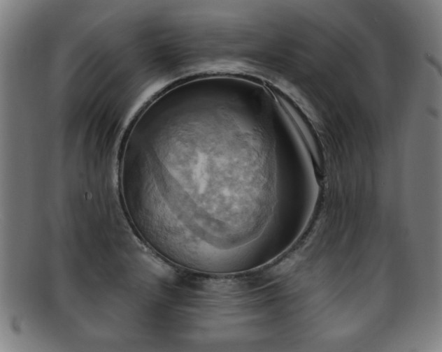 X0000092111232200709121612