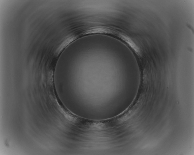 X0000092111233200709121612