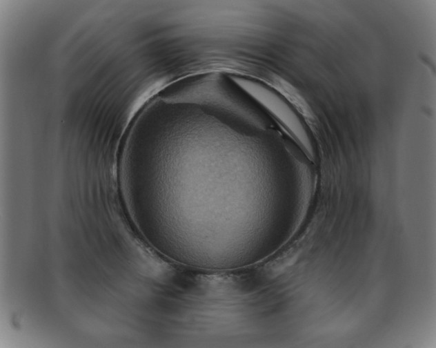 X0000092111234200709121612