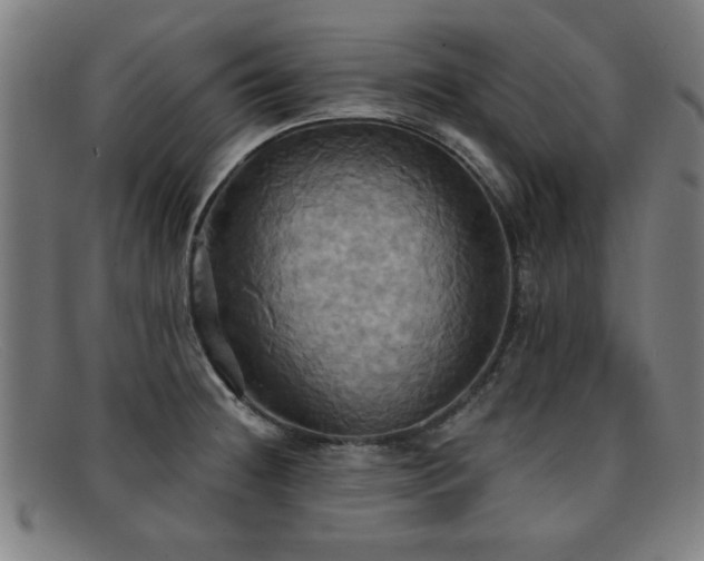 X0000092111236200709121612