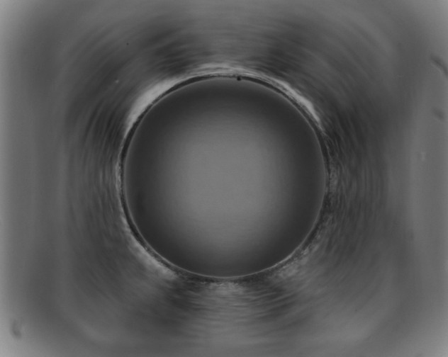 X0000092111239200709121612