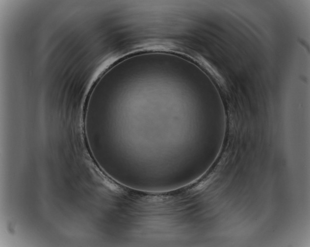 X0000092111240200709121612