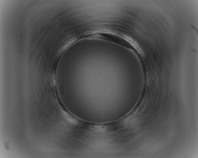 X0000092111241200709121612