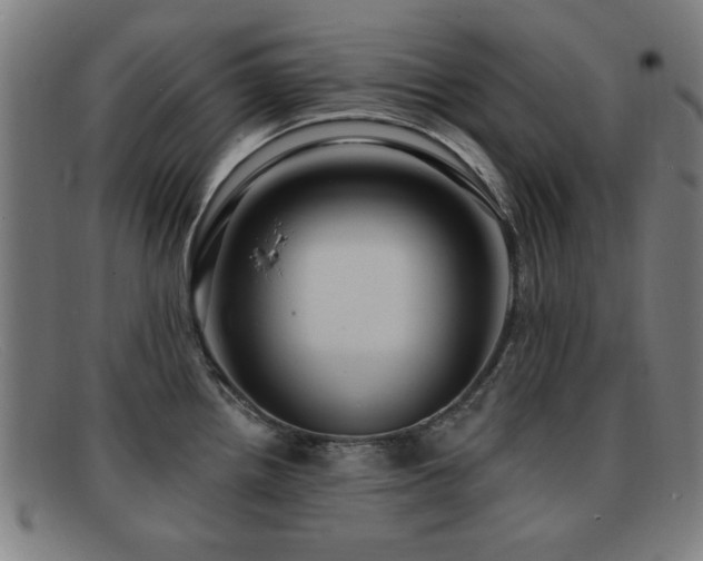 X0000092111242200709121612