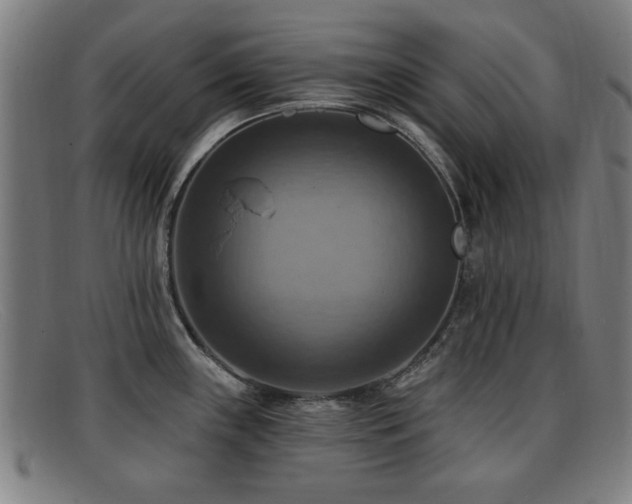 X0000092111243200709121612