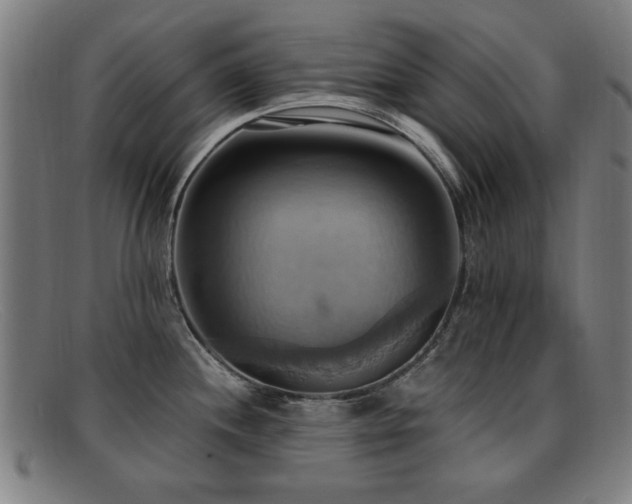 X0000092111244200709121612